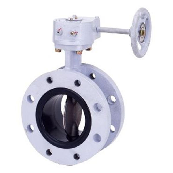 KITZ開滋閥門\齒輪傳動蝶閥BS-10LJF-150A